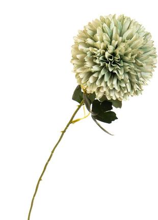 Цветок "хризантема зелёная"1 фото