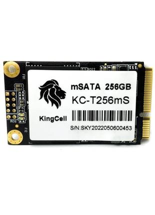 Накопичувач ssd msata 256gb kingcell kc-t256ms r500mbs w400mbs...