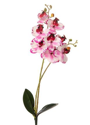 Орхидея 56 см. * рандомный выбор дизайна5 фото