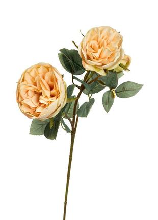 Гілка троянди, кремова1 фото