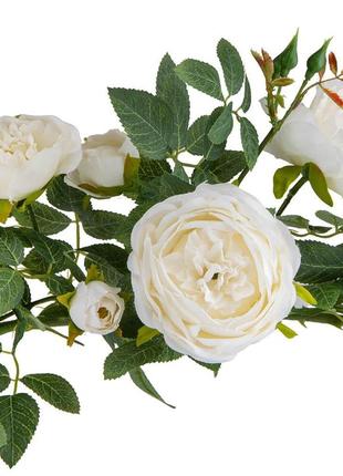 Цветущая ветка розы, 136 см2 фото