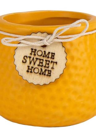 Кашпо "sweet home", 7,5 см * рандомний вибір дизайну3 фото
