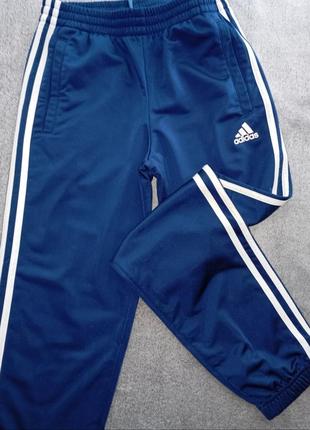 Штани жіночі adidas adicolor розмір xs/s2 фото