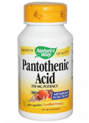 Пантотенова кислота nature's way pantothenic acid 100 caps