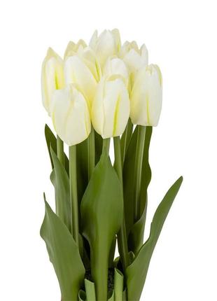 Букет тюльпанів 29 см, білий2 фото