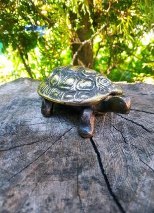 Шкатулка черепаха4 фото