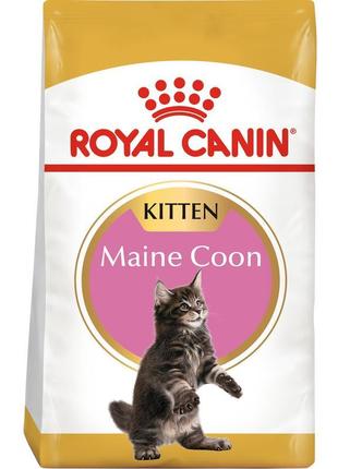 Сухий корм для кошенят royal canin mainecoon kitten 2 кг (3182...