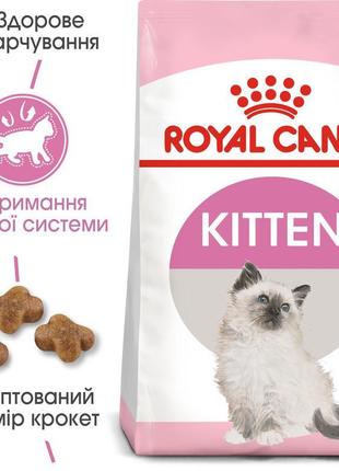 Сухий корм для кошенят royal canin kitten 2 кг (3182550702423)...2 фото