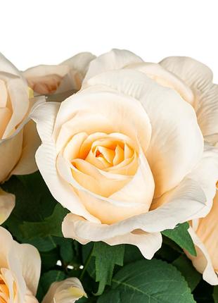 Букет з кремових троянд, 48 см2 фото