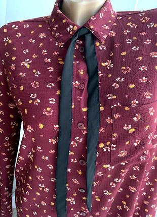 Стильна сорочка блуза бордо принт від amisu6 фото