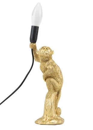 Лампа "золота мавпа", золота