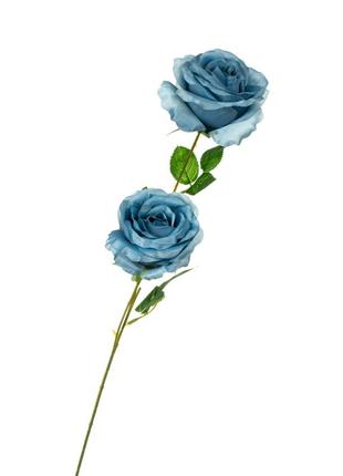 Роза, голубая1 фото