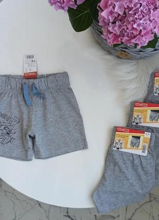Шортики lupilu