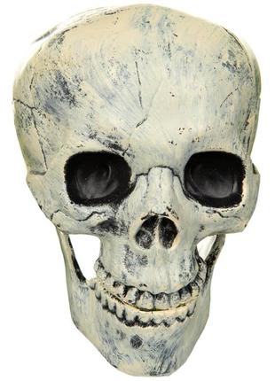 Декор на хеллоуин "череп"