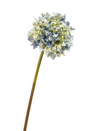 Цветок  "гортензия шаровидная" синяя2 фото