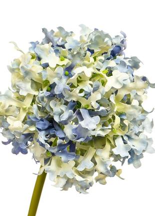 Цветок  "гортензия шаровидная" синяя3 фото
