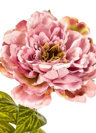 Квітка штучна "троянда піоноподібна ніжно-рожева"2 фото