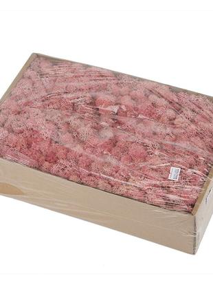 Мох стабилизированный розовый (530 гр.)2 фото