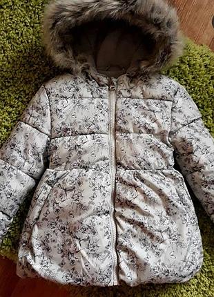 Демісезонна куртка young dimension 2