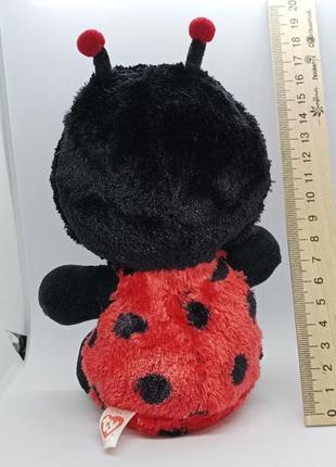 Божья коровка ty