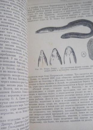 Сабанєєв л. п. життя і ловля прісноводних риб. київ. урожай 1976