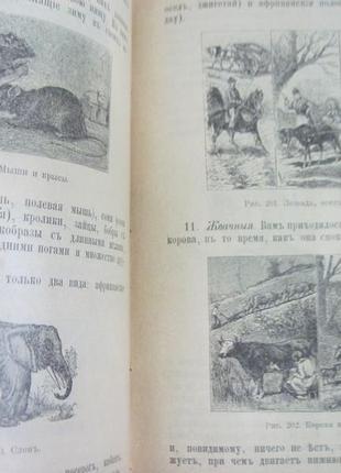 Перші бесіди дітьми про тварин. з 259 малюнками. 18988 фото