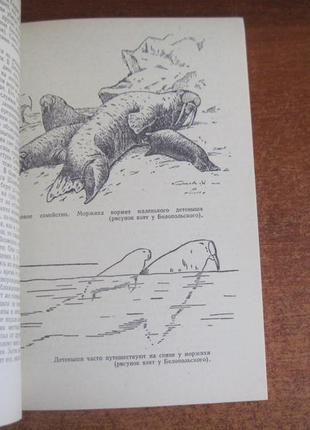 Перрі p. світ моржа. л. гидрометеоиздат. 1976р.3 фото