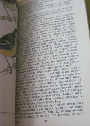 Романишин г.ф. співочі птахи. худлюбвін. київ. реклама 19736 фото