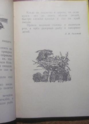 Оповідання та казки російських письменників м детлит 19714 фото