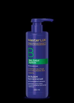 Бальзам master lux professional відновлюючий для пошкодженого ...