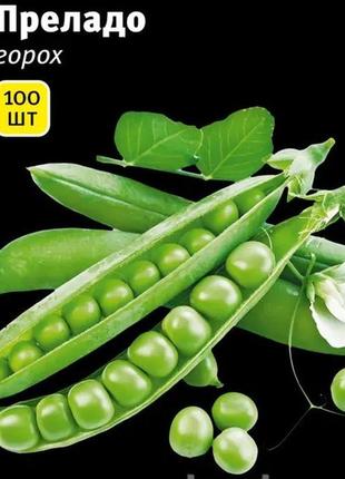 Насіння гороху преладо, 100 шт., овочевого, тм "лєдаагро"