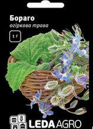 Насіння бораго огіркової трави, 1 гр., тм "ледаагро"