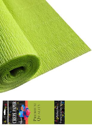 Креп-бумага салатовый 50*200 25г/м2 st02314  ish