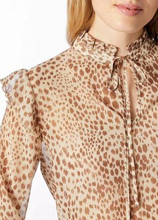 Брендова блузка з легкого шифону з оборками "rich&amp;royal" з леопардовим принтом. розмір eur36.3 фото