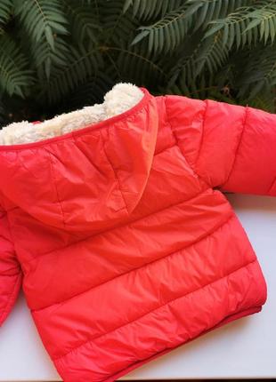 Демісезонна курточка червона 10169, розмір 903 фото