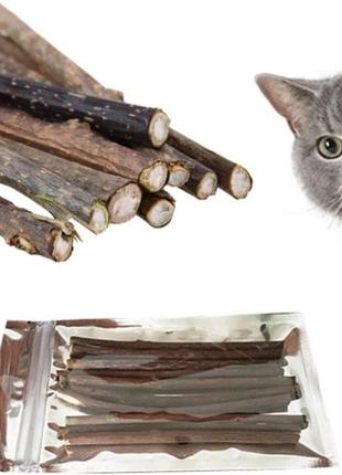 Кошачья мята (стебель).