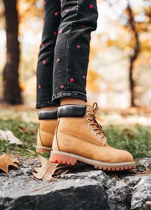 Женские ботинки timberland “ginger” (термо)