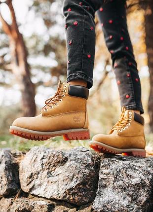 Женские ботинки timberland “ginger” (термо)