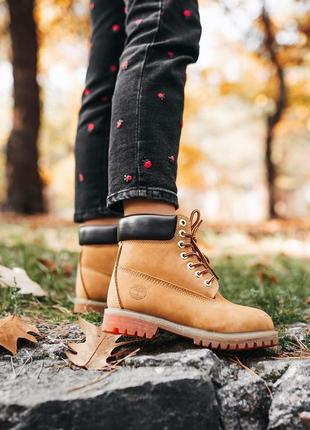 Женские ботинки timberland “ginger” (мех)8 фото