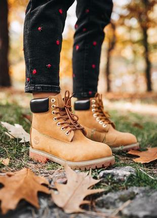 Жіночі черевики timberland "ginger" (хутро)