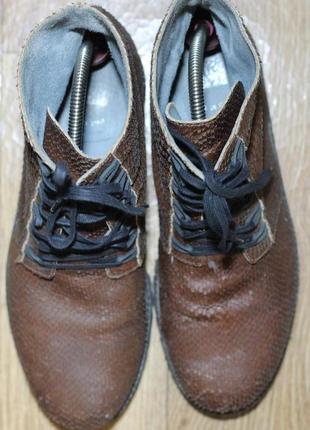 Стильні, вінтажні черевики зі шкіри рептилії nk 42 р-р6 фото