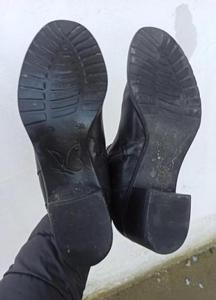 Розкішні шкіряні черевики, ботільони caprice6 фото