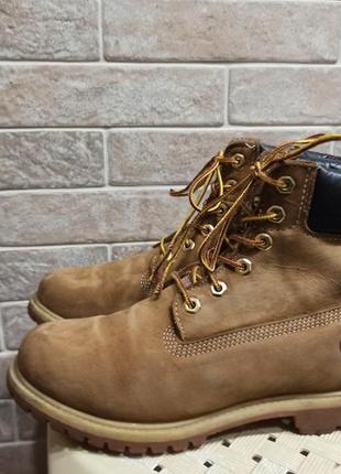 Черевики з нубукової шкіри timberland