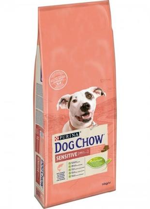 Dog chow sensitive корм для собак с лососем 14кг 488244