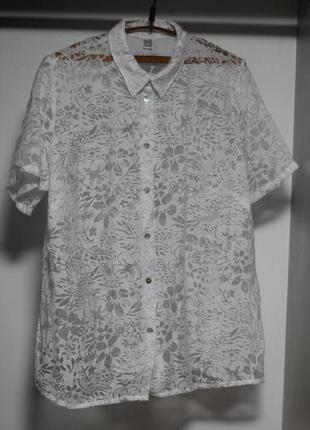 Розкішна невагома блузка 54-561 фото