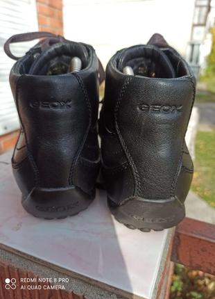 Шкіряні черевики, хайтопы geox 44-455 фото