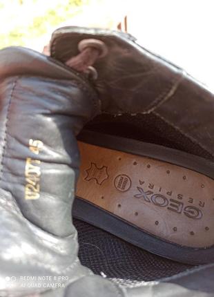 Шкіряні черевики, хайтопы geox 44-457 фото