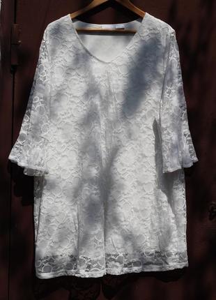Розкішна мереживна блуза, туніка mia moda 56-588 фото