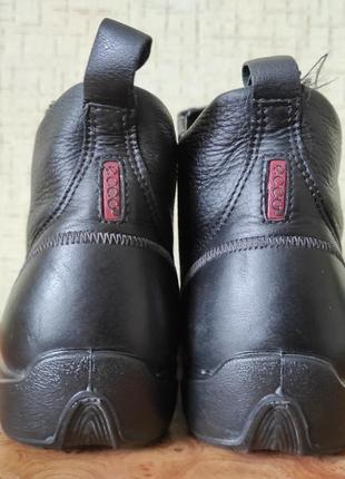 Комфортні шкіряні черевики на мембрані ecogore tex6 фото