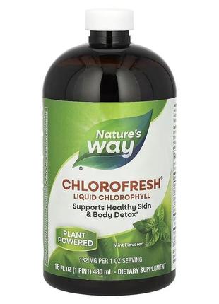 Nature's way, chlorofresh, рідкий хлорофіл, з ароматом м'яти, ...